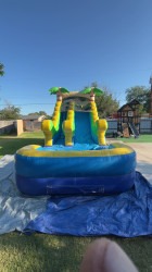 Blue Tropical Waterslide