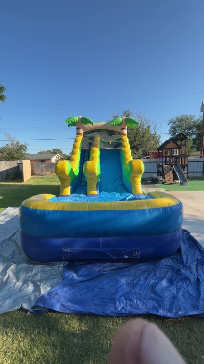 Blue Tropical Waterslide
