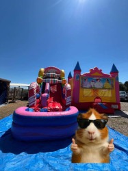 525019223 17960185409973558 5750890405033821508 n 1758838752 Sugar Rush Big Waterslide